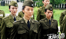 电视剧大陆小岛全集在线观看,全景呈现，重温经典剧集