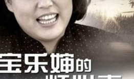 宝乐婶的烦心事电视剧全集,揭秘农村生活的喜怒哀乐