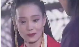 东方不败电视剧,风云再起，武林传奇