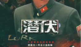 电视剧 谍战,谍影重重