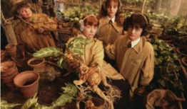 哈利波特电视剧版,魔法世界的光影之旅