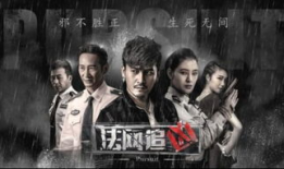 法网追凶电视剧,正义之剑，破案风云