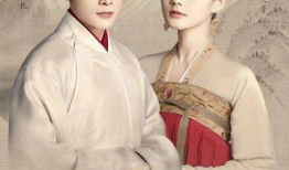 鹤唳华亭电视剧,宫廷权谋与家国情怀的交织传奇