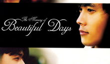 美丽的日子电视剧韩剧,穿越时空的浪漫邂逅