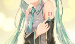 初音未来动漫,虚拟偶像的奇迹之旅