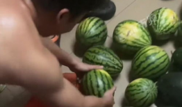 广西大学吃瓜大爆料,揭秘校园热点事件背后的真相