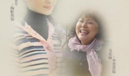 宝乐婶的烦心事电视剧全集,揭秘农村生活的喜怒哀乐