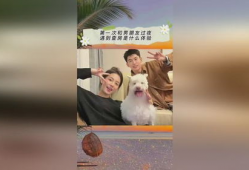 抖音游戏吃瓜爆料,揭秘热门游戏幕后真相