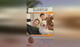 抖音游戏吃瓜爆料,揭秘热门游戏幕后真相