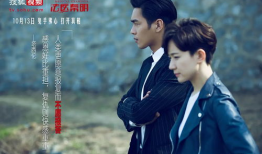 哪个电视剧好看,揭秘年度最受欢迎电视剧背后的魅力