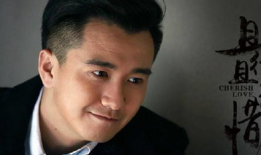 汤煜峰是什么电视剧,揭秘传奇人生背后的电视剧故事