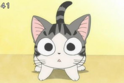 动漫宠物,动漫宠物们的奇幻冒险之旅