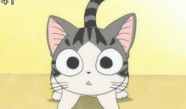 动漫宠物,动漫宠物们的奇幻冒险之旅