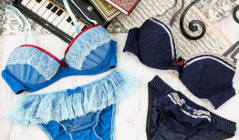 动漫情趣内衣,探索动漫元素与情趣内衣的完美融合