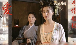 爱情宝典电视剧,解码现代情感密码