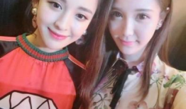 网红与明星同框,跨界互动闪耀娱乐圈