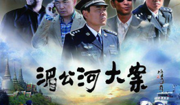 大案电视剧,揭秘背后惊心动魄的刑侦传奇