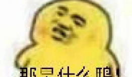 搞笑吃瓜爆料图片表情包,带你领略网络幽默的魅力