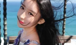 网红对比明星,网络时代下的影响力对决