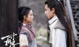 特别好看的电视剧,揭秘年度最受瞩目电视剧