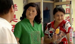 乡村爱情电视剧,笑谈农家乐，共谱乡村新篇章