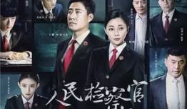 检查官电视剧,正义的守护者