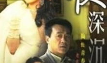 电视剧夜深沉,谍影重重，爱恨交织的谍战传奇