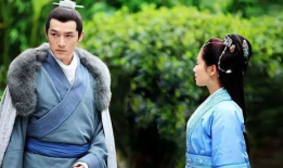 戈大洪是什么电视剧,揭秘传奇特工的生死较量