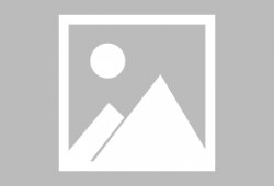 吃瓜明星爆料狼王是谁,吃瓜明星爆料，狼王身份成谜！