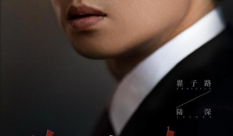 检查官电视剧,正义的守护者