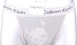 动漫情趣内衣,探索动漫元素与情趣内衣的完美融合