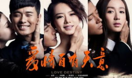 爱情自有天意电视剧全集,命运交织的浪漫传奇